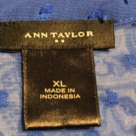 Ann Taylor Swiss Dot Sheer Top Blue size XL - Picture 3 of 4